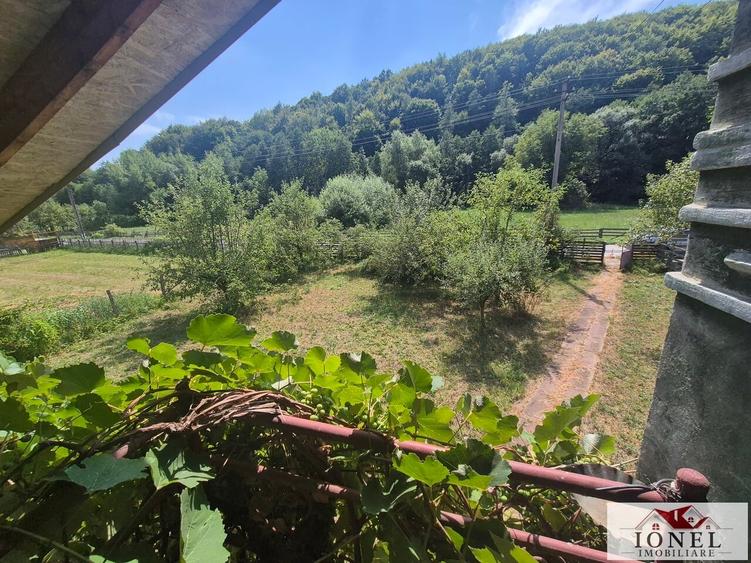 Casă individuală cu 3 camere cu Teren 2651 Mp în Almașu Mare