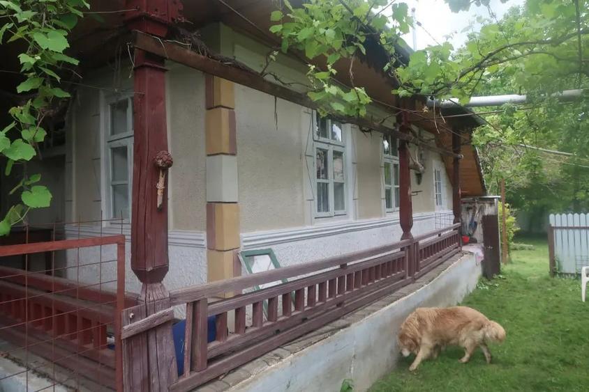 Casă cu 5 camere în Valea Arinilor
