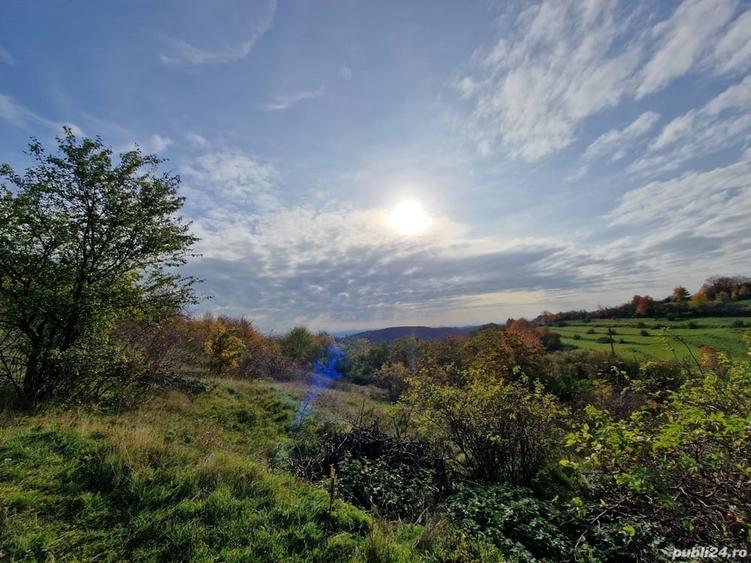 Teren de 18527 mp, în Cerbăl