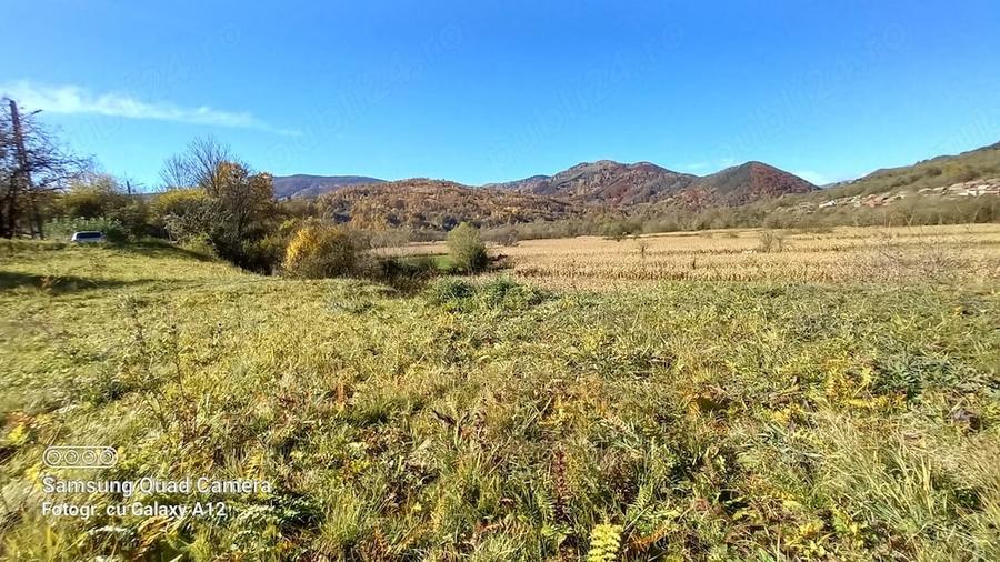Teren de 500 mp, în Sălciua