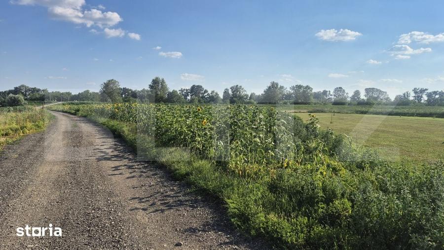 Teren de 3800 mp, în Titulescu