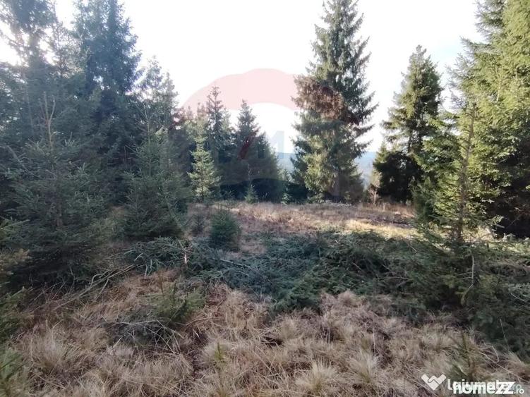 Teren de 17895 mp, în Dorna-Arini