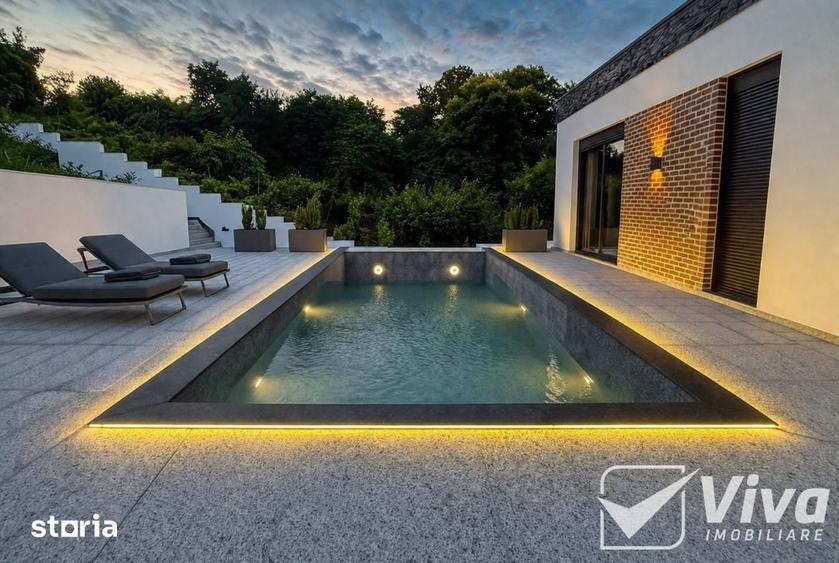 Copou-serv. Cazier Judiciar, casa cu piscina, 320mpU, 915 mp teren - 3