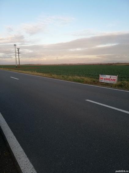 Teren de 15000 mp, în Topolovățu Mare