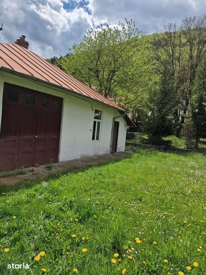 Teren de 254 mp, în Central