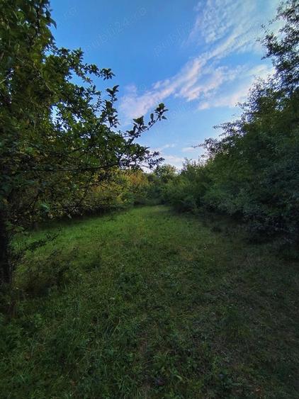 Teren de 2300 mp, în Cuzăplac