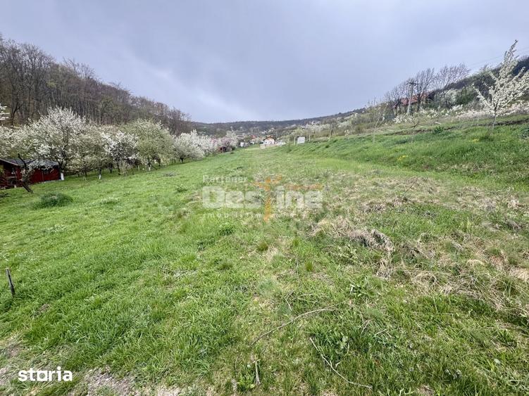 Teren de 950 mp, în Central