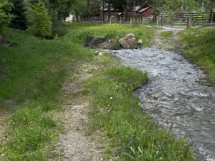Teren Construcții intravilan de 2700 mp, în Pojorâta