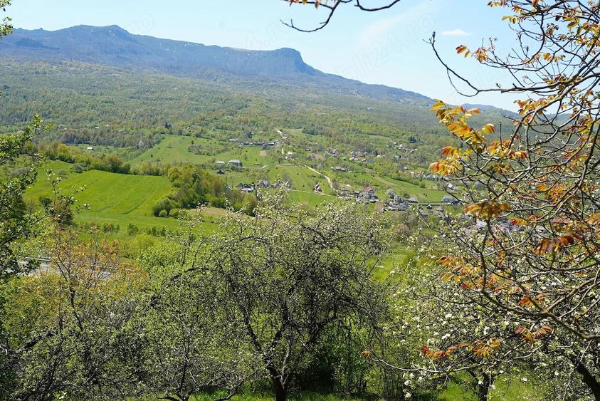 Teren de 10000 mp, în Breb