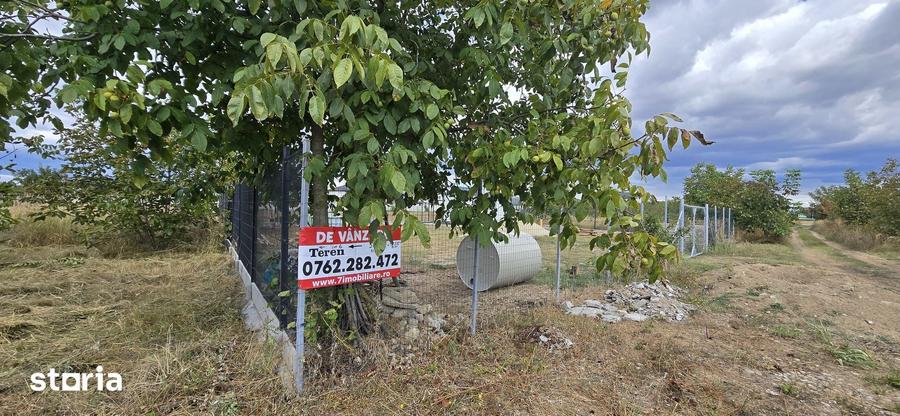 Teren intravilan Manastirea, Buftea, 500mp sau 877mp, 0% comision - 6
