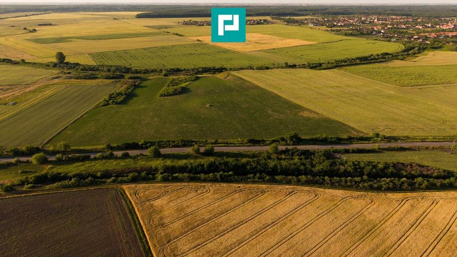 Teren agricol extravilan de 42200 mp, în Secusigiu