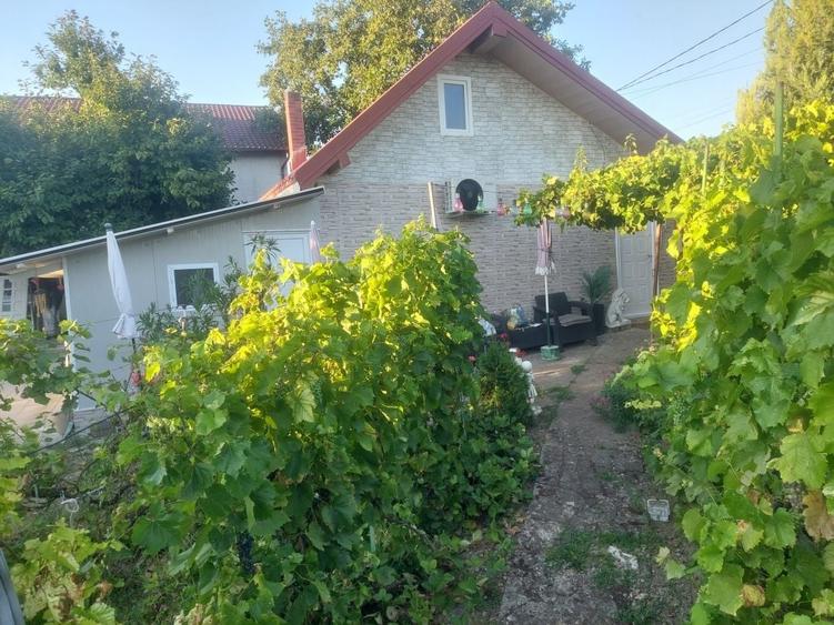Vand casa Dancu . - 5