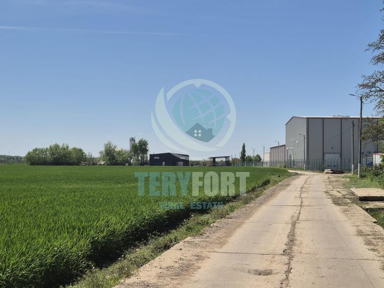 Teren Construcții intravilan de 3750 mp, în Afumați
