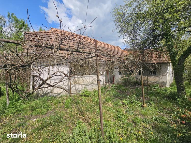 Casă cu 3 camere cu Teren 5571 Mp în Zam