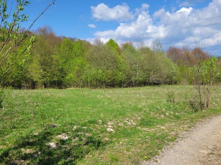 Teren de 4000 mp, în Satu Mare