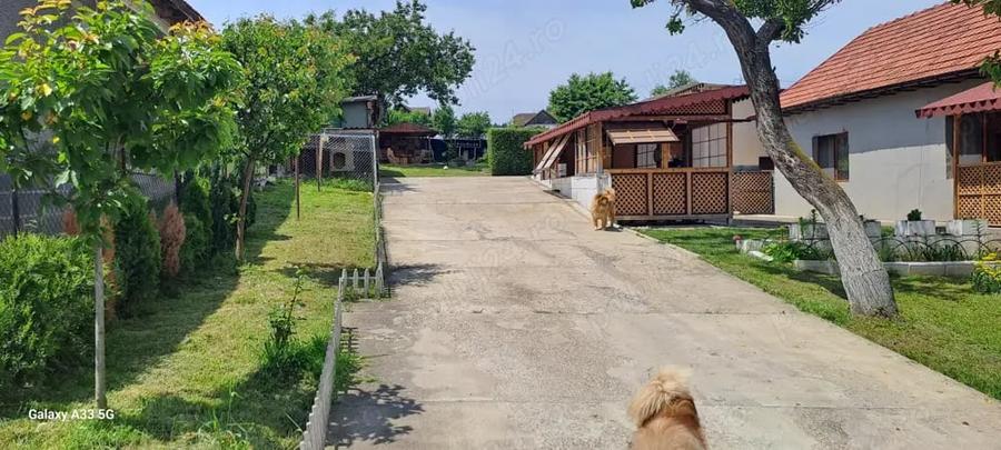 Casă cu 3 camere în Bejan