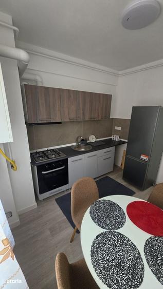 Apartament 1 camera de inchiriat Cartierul Visoianu - 10