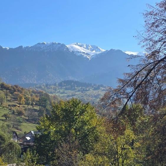 Casă cu 4 camere în Bran