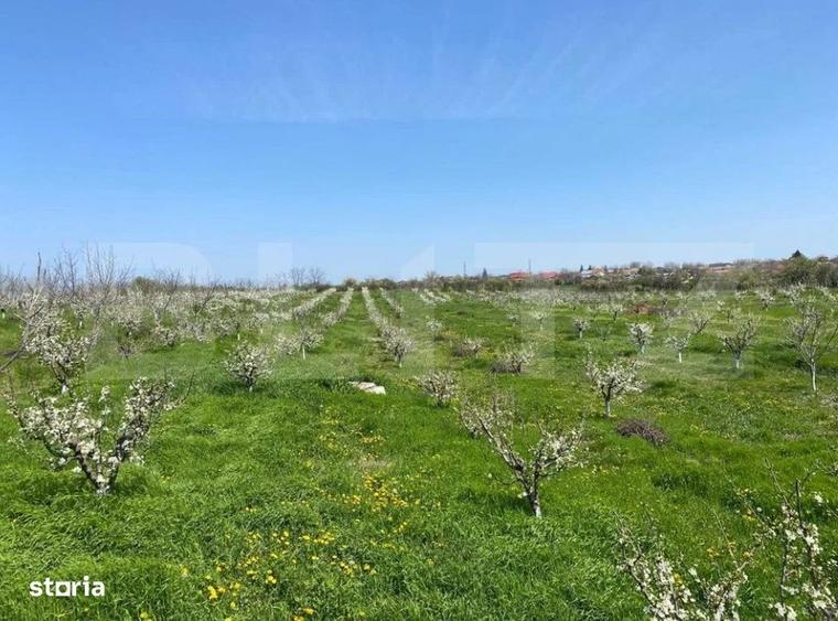 Casă cu 4 camere cu Teren 16000 Mp în Ciorani