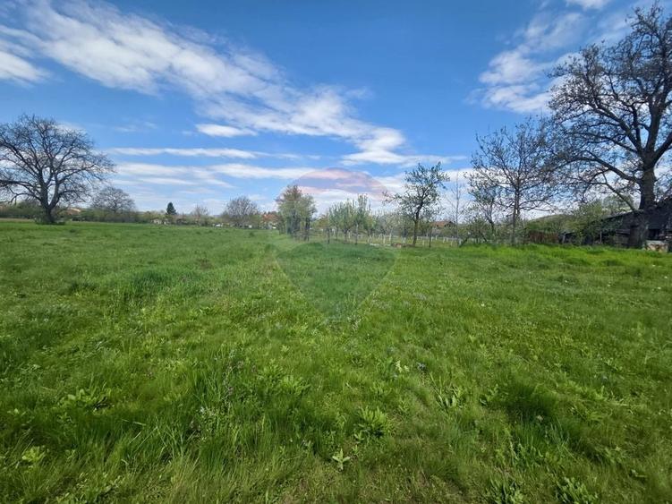 Teren Construcții intravilan de 4733 mp, în Drajna de Jos