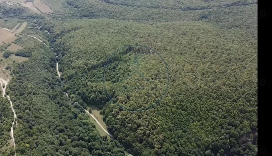 OPORTUNITATEA RARA DE INVESTI?IE- PADURE DE VANZARE 38,24 HA- MINTIU - 1