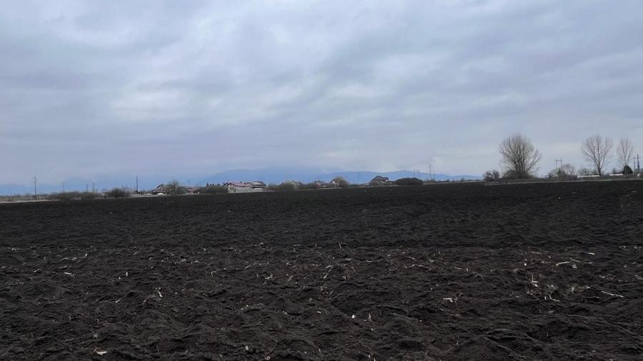 Teren agricol extravilan de 50000 mp, în Hălchiu