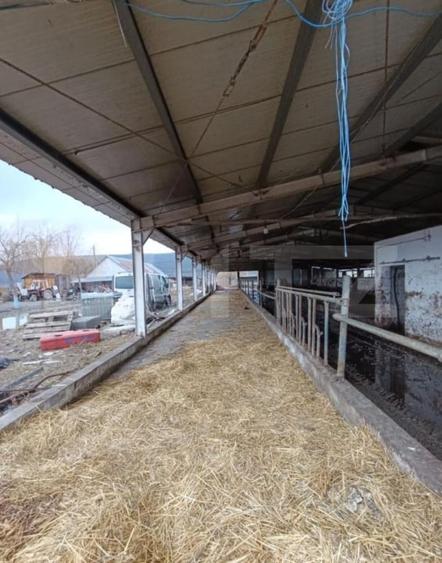 Spațiu industrial, de 6,600 mp, în Valea Lungă