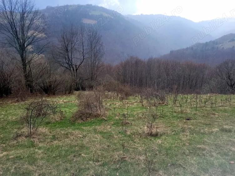 Teren în Central