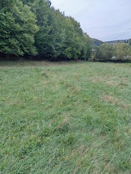 Teren de 9000 mp, în Central