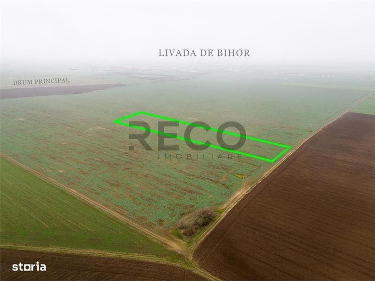 Spațiu comercial, în Livada de Bihor