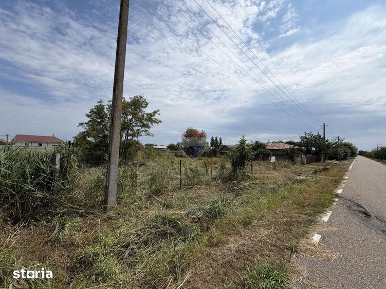 Teren de 1250 mp, în Nănești