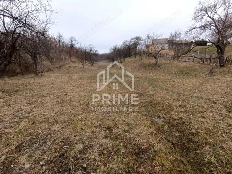 Teren de 1944 mp, în Pianu