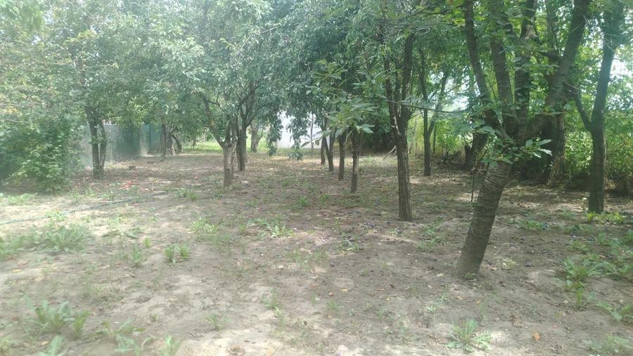 Casă cu 4 camere în Mărcești