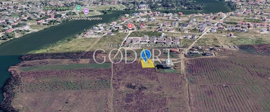 Teren agricol intravilan de 855 mp, în Mogoșoaia