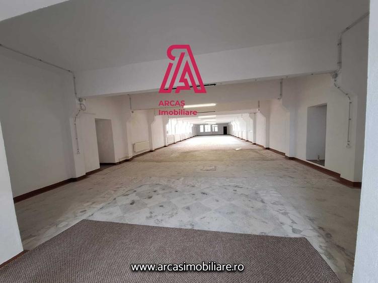 Proprietate specială, de 2,880 mp, în Mârșa