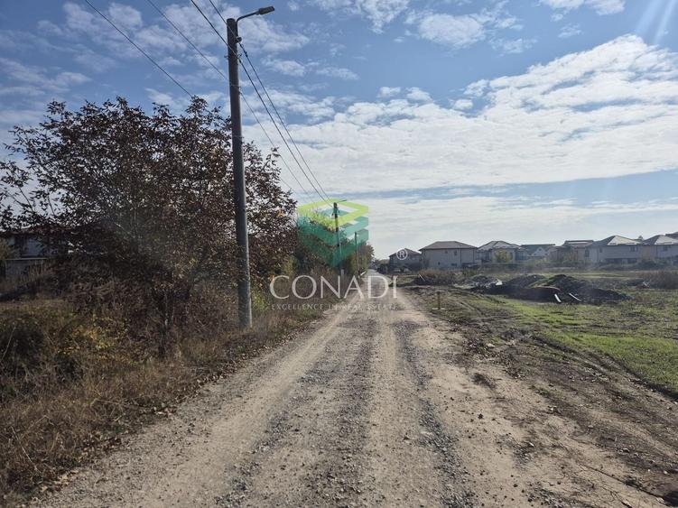 Teren Construcții intravilan de 13518 mp, în Odăi