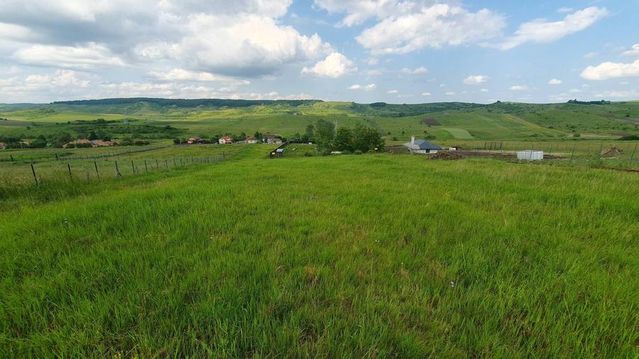 Vand teren extravilan cu CF, in Salistea Veche - 2