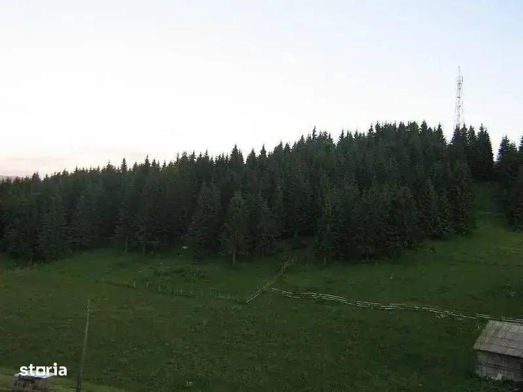 Teren Intravilan De Vanzare | Comuna Fundata | Fundatica | Brasov - 2