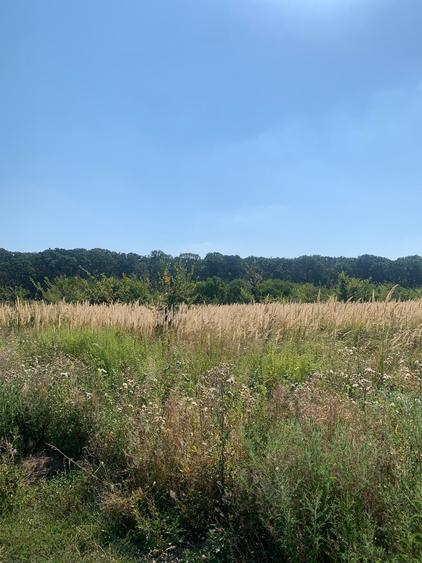 Teren Construcții intravilan de 4250 mp, în Snagov