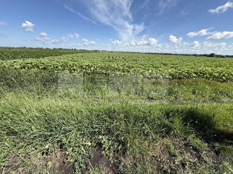Teren agricol extravilan de 4000 mp, în Central