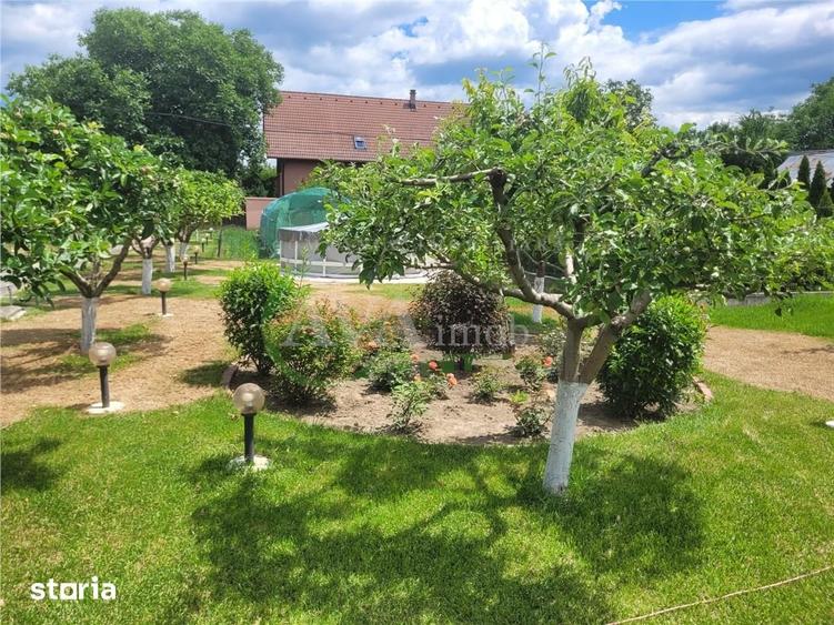 Teren de 530 mp, în Mărgineni