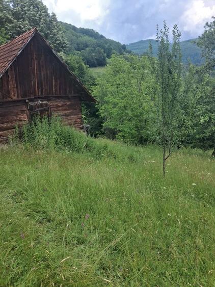 Teren de 2000 mp, în Hălmăgel