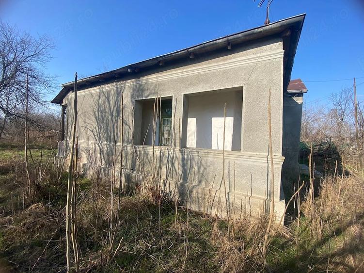 Casă cu 4 camere cu Teren 6097 Mp în Mânzu