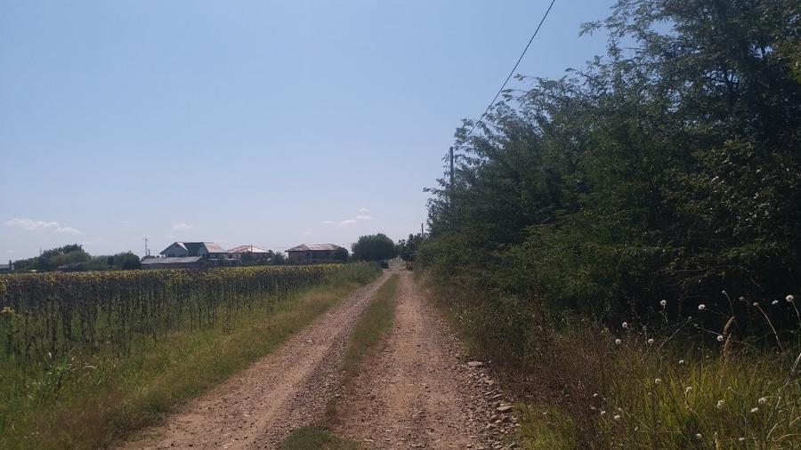 Teren Construcții extravilan de 15000 mp, în Vernești