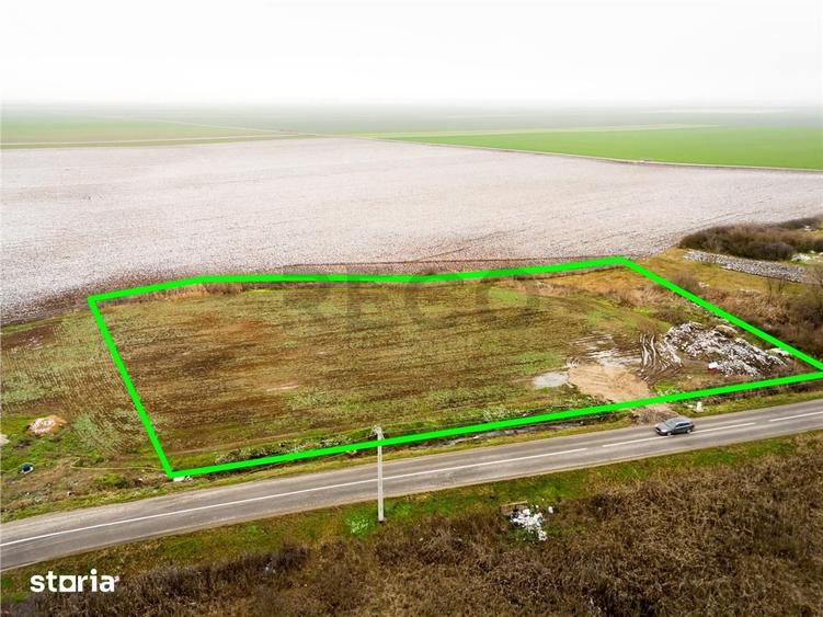Teren de 5000 mp, în Sânnicolau Român