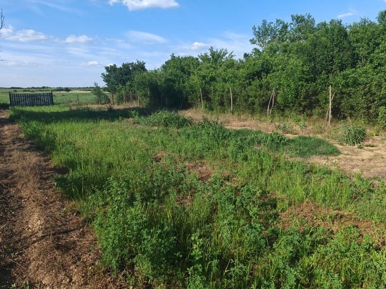 Casă cu 4 camere cu Teren 3000 Mp în Central