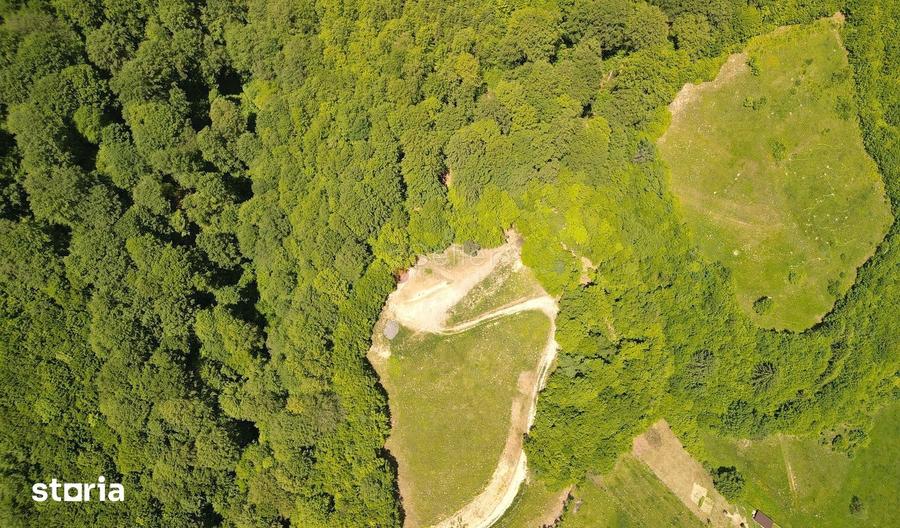 Teren de 16000 mp, în Holbav