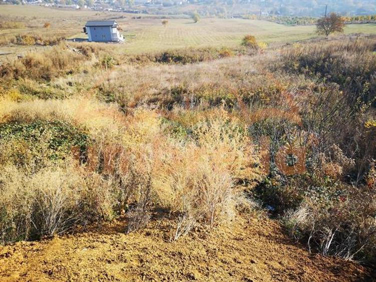 Teren agricol intravilan de 9555 mp, în Nord-Vest