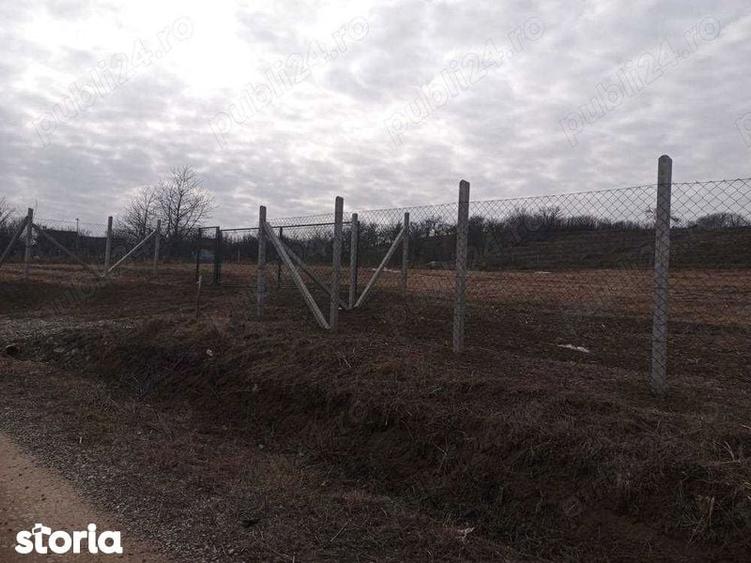 Teren de 9500 mp, în Podgoria