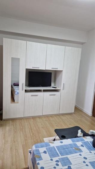 Garsonieră decomandată în Valea Oltului